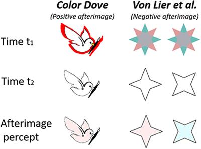 A Model for a Filling-in Process Triggered by Edges Predicts “Conflicting” Afterimage Effects